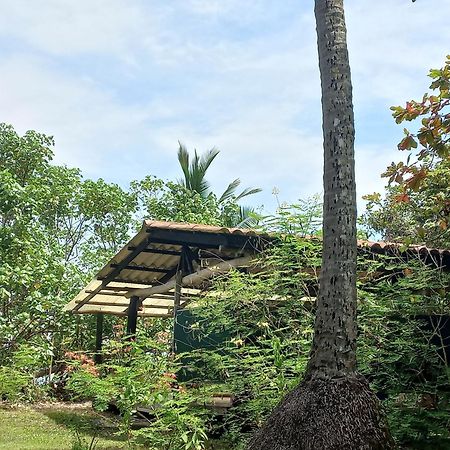 Las Lajas Beach Resort Eksteriør billede